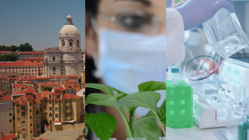 Horizon Europe: eastern and western perspectives